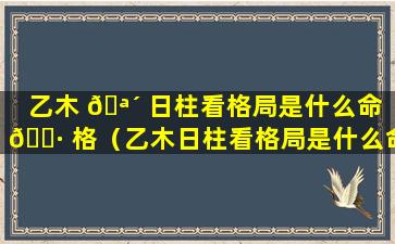 乙木 🪴 日柱看格局是什么命 🌷 格（乙木日柱看格局是什么命格的）